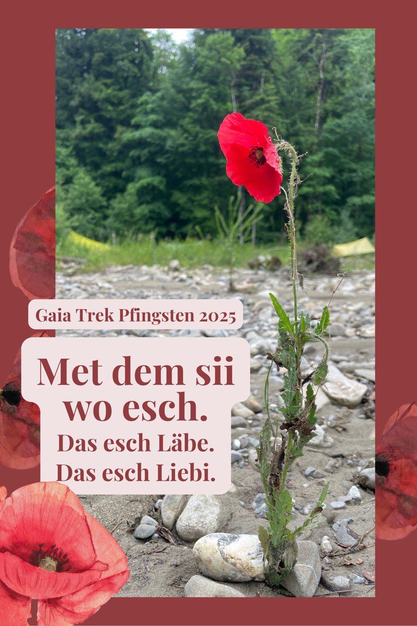 Mit dem sein, was ist - Das ist Leben - Das ist Liebe (Gaia Trek, Pfingsten 2025)