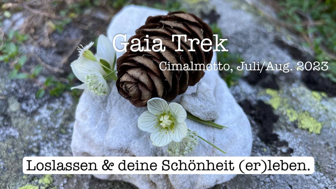 Loslassen und deine Schönheit (er)leben. (Gaia Trek, Juli/August 2023)