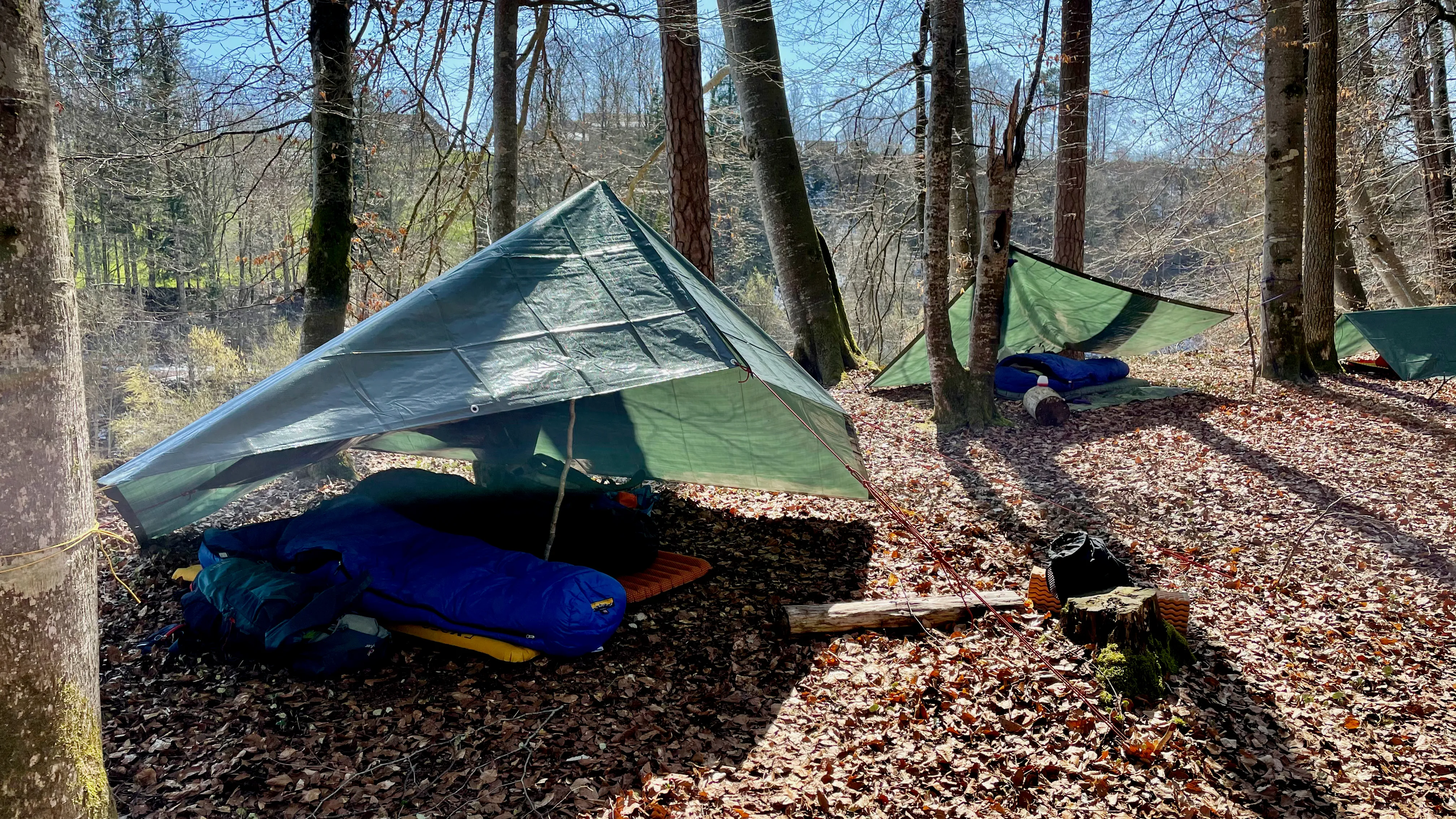 Tarps im Wald